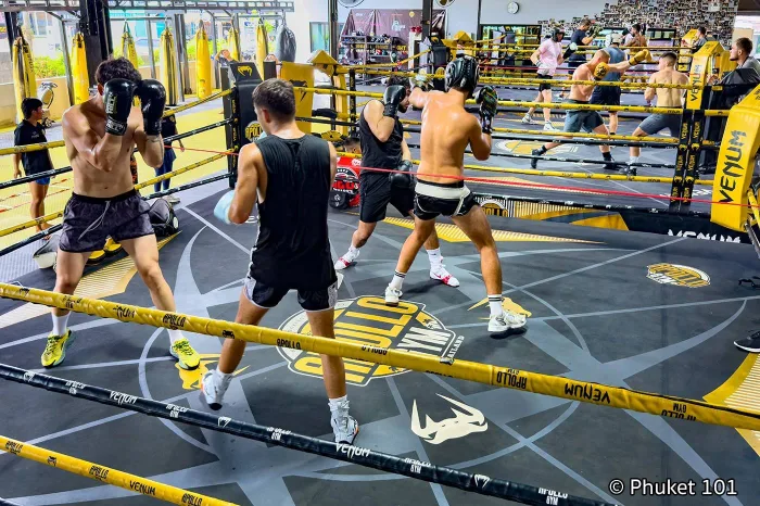 Тренировка в Apollo Gym